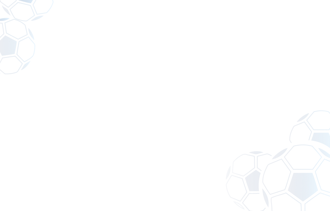 FIFA Background